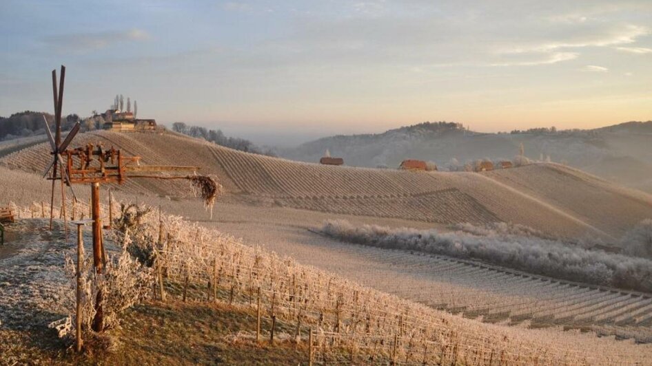 Weingut Kögl - Impression #2.14