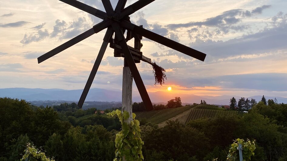 Weingut Klapotetzhof Silberschneider - Impression #2.63