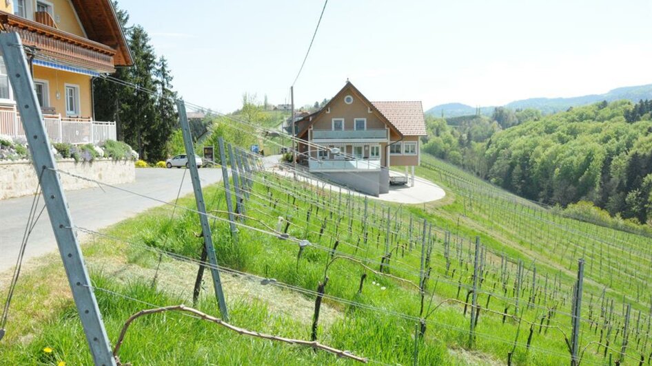 Weingartenblick | © Bernhard & Gertrud | Weingut Muster Bernhard & Gertrud