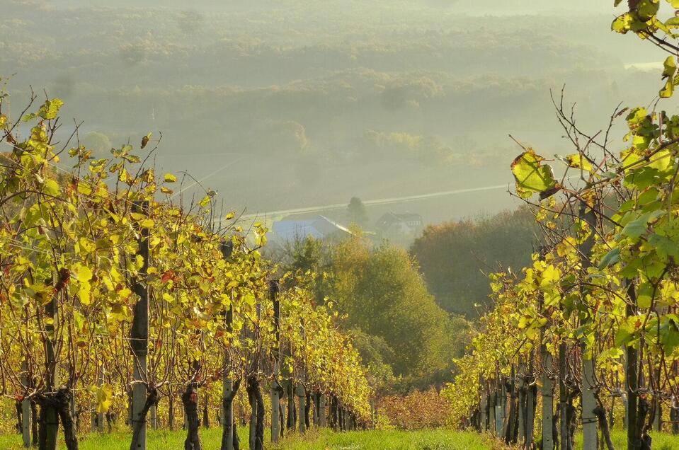 Weingut Pock in Straden - Impression #1 | © Weingut Pock