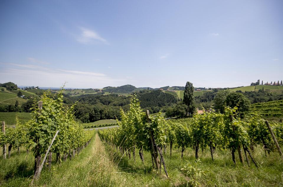 Weingut Postl - Impression #1