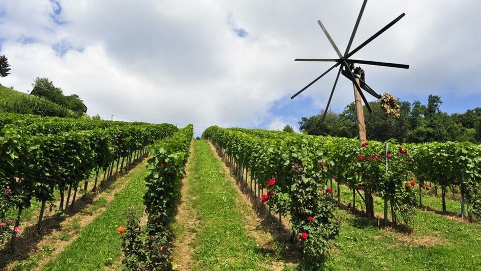 Weingarten mit Klapotzetz Gastgarten | © Weingut Stoff