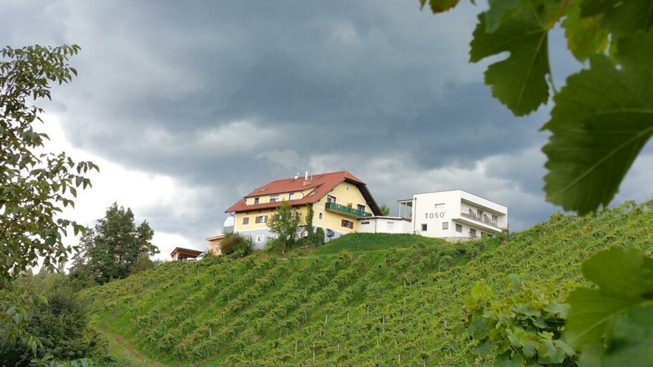 Weingut Toso Hausansicht | Stephan & Matthias Krainer | © Weingut Toso l Stephan & Matthias Krainer Weingut Toso Hausansicht | © Weingut Toso l Stephan & Matthias Krainer
