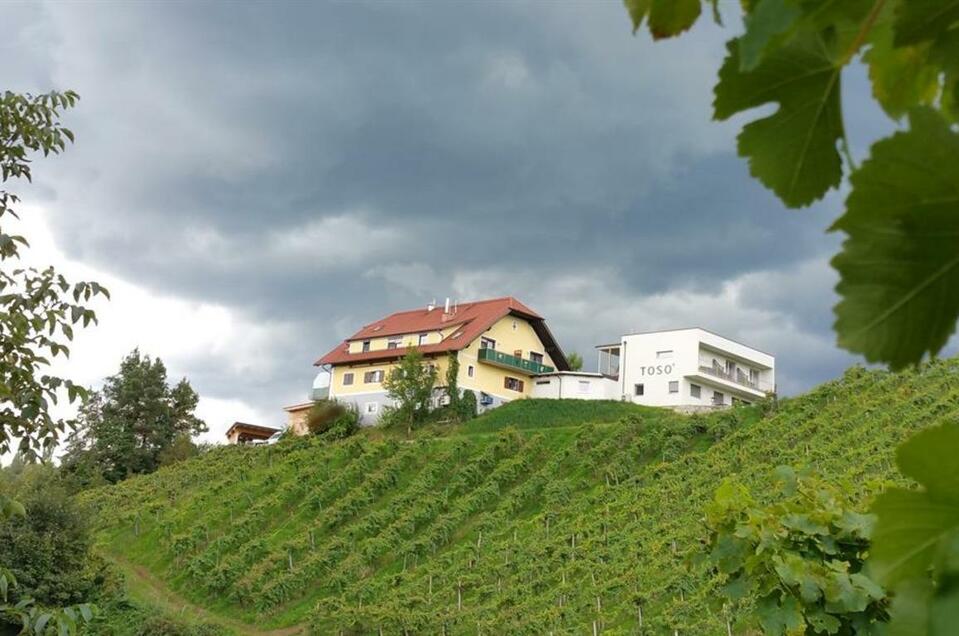 Weingut Toso Hausansicht | Stephan & Matthias Krainer | © Weingut Toso l Stephan & Matthias Krainer TOSO Genussreich - Impression #1 | © Weingut Toso l Stephan & Matthias Krainer