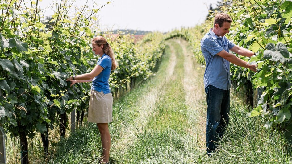 Arbeiten im Weingarten | © Weingut Triebl