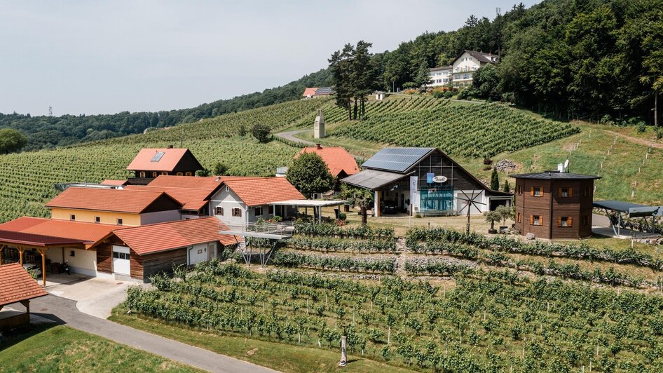 Weingut Triebl - Vulkanland Steiermark in St. Anna/A. - Impression #2.7