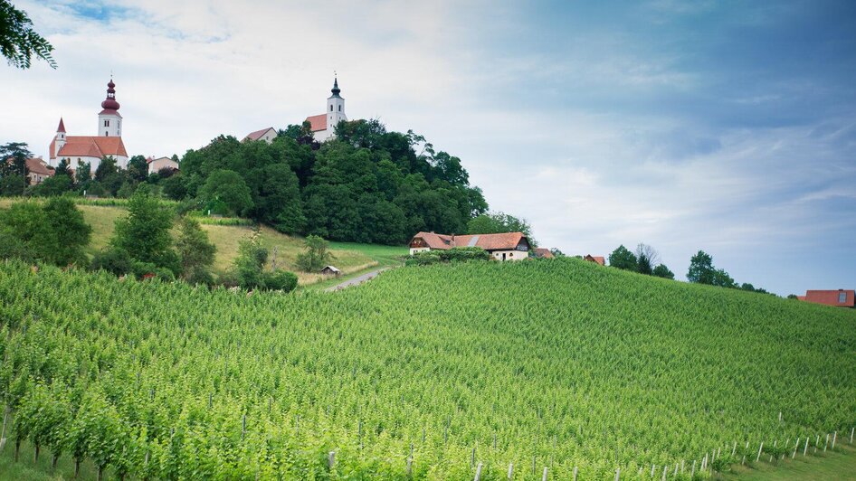 Weingut Tropper Edi Tropper Bio-Winzer in Straden - Impression #2.2