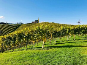 Weingut Weiss-Welle Ausblick | © Weingut Weiss-Welle | Bettina Gratzer