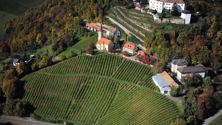 Weingut mit Schloss und Keller | © Schloss Kapfenstein