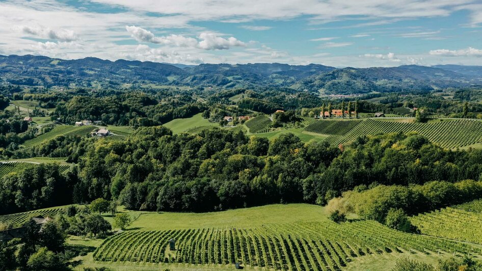 Weingut & Buschenschank Zweytick Ausblick | © Weingut & Buschenschank Zweytick | Fam. Zweytick