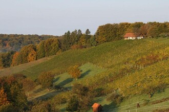 Blick auf den Buschenschank Hartinger | © Familie Hartinger