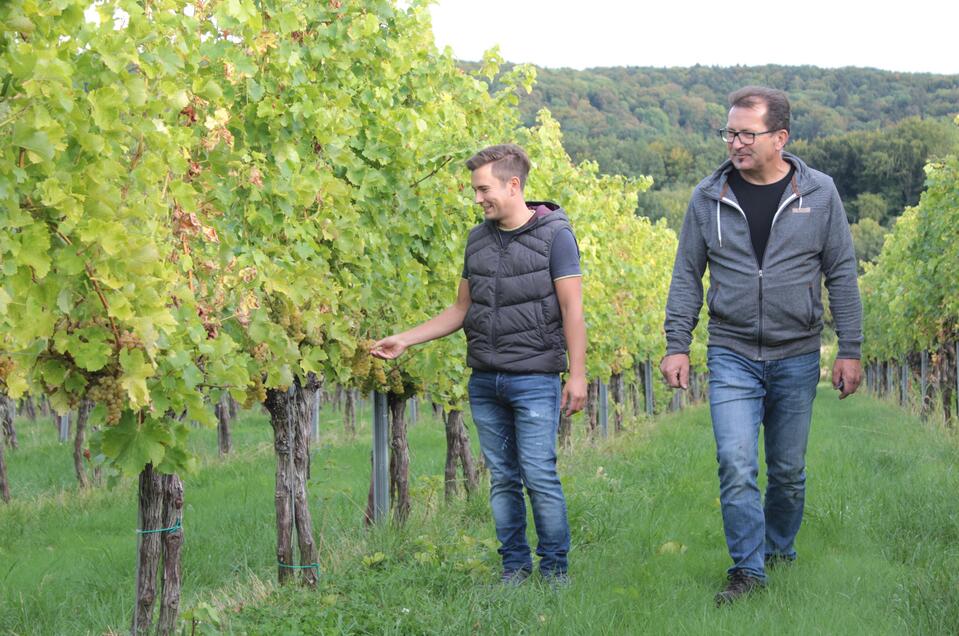 Weinhof Fauster in St. Anna/A. - Impression #1 | © Weinhof Fauster