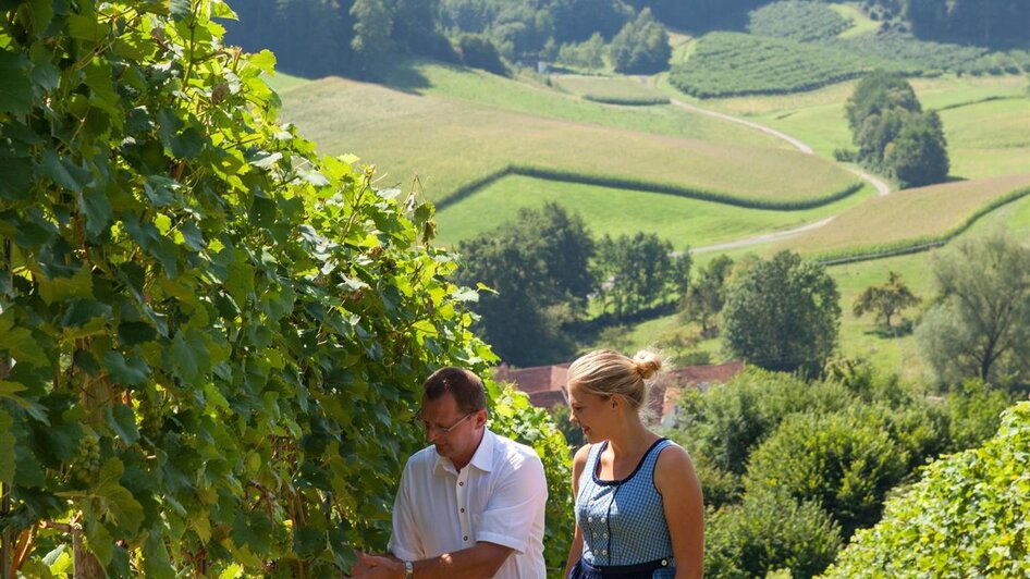 Arbeit im Weingarten | © Weinhof Konrad