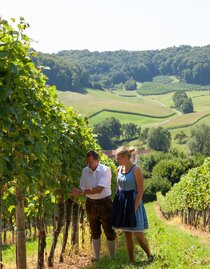 Work in den vineyard | © Weinhof Konrad | Ulrike Korntheuer | © Weinhof Konrad