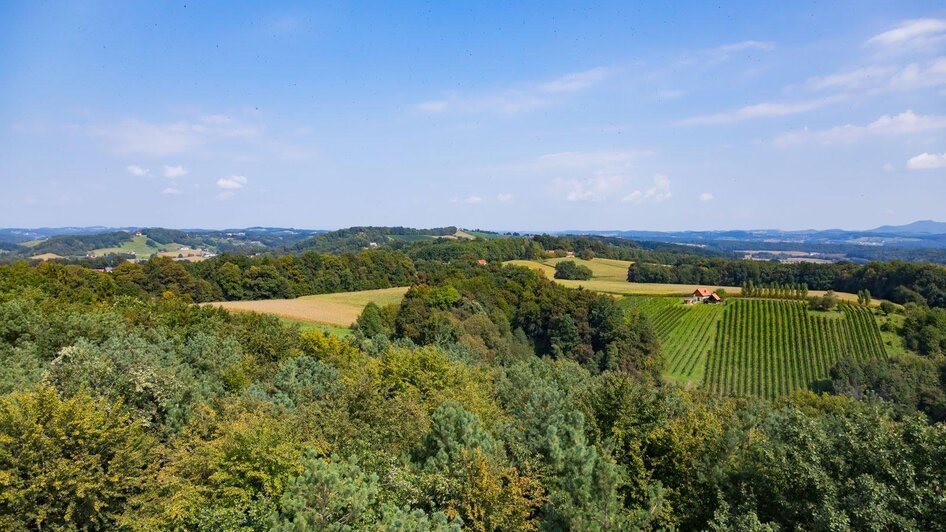 Blick von der Weinwarte | © Thermen- & Vulkanland