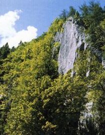 Weizklamm_Oststeiermark | © Oststeiermark Tourismus | © Oststeiermark Tourismus