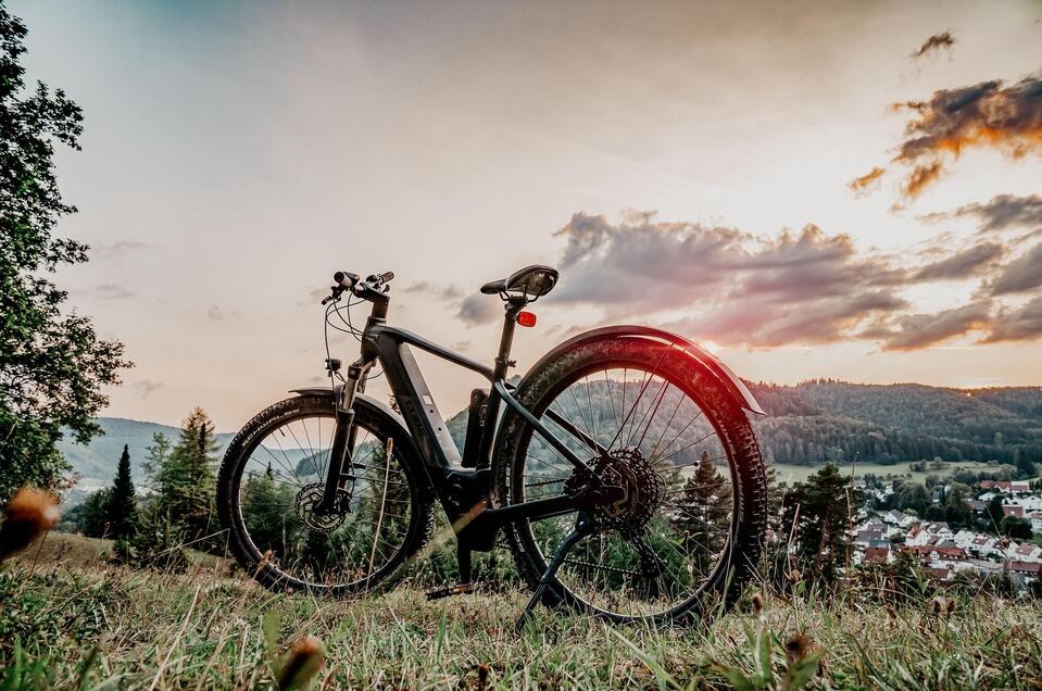 Willi´s Fahrradklinik - Impression #1