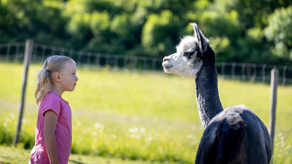 Mädchen mit Alpaka | © TV Murau, Tom Lamm