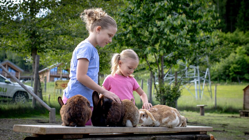 Kaninchen streicheln | © TV Murau, Tom Lamm