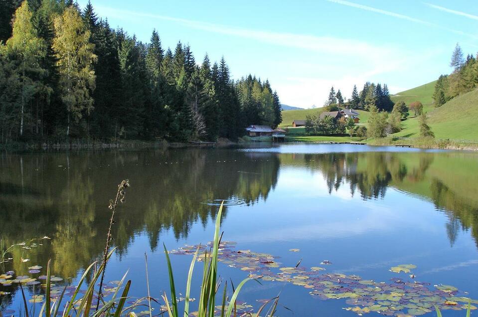 Swimming lake Krakaudorf - Impression #1