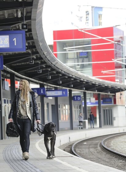 Bahnhof Bruck an der Mur | © M. Maili