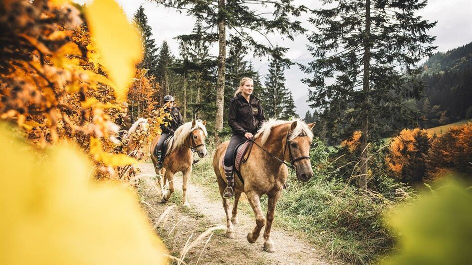 Reiten am Laussabauerhof | © Stefan Leitner