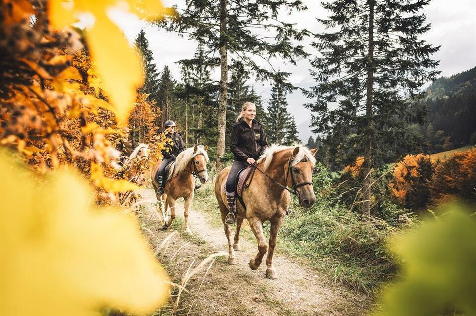 Organic farm and riding stables Laussabauer - Impression #1 | © Stefan Leitner