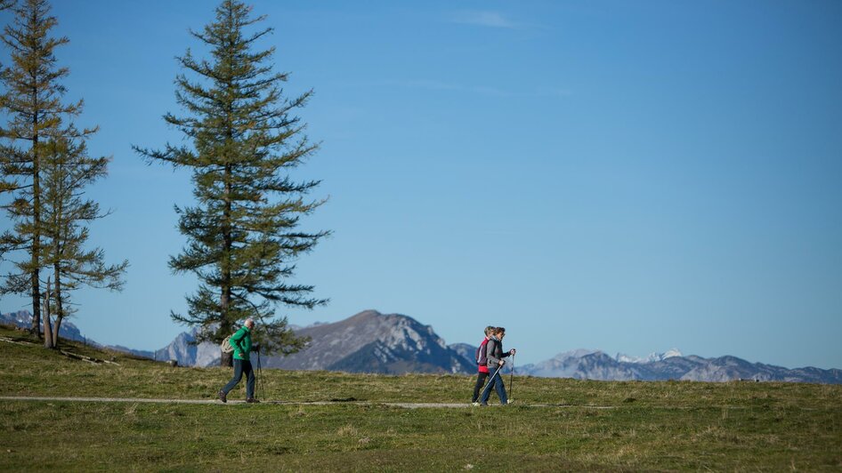 Auf der Bürgeralm 1550 m Seehöhe