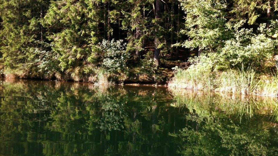 Hirzmann Stausee_Ufer am Stausee | © TV Lipizzanerheimat | CH