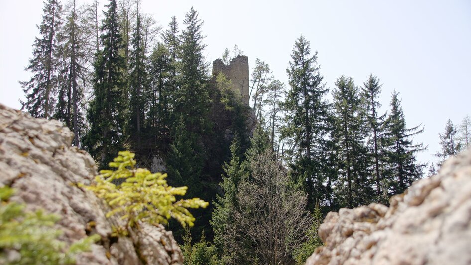 Burgruine Ehrenfels | © Marktgemeinde Kammern