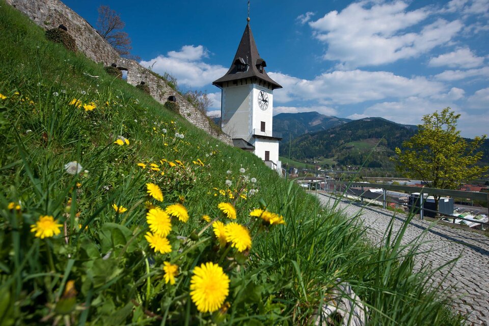 The Brucker Schlossberg - Impression #1 | © H. Schiffer