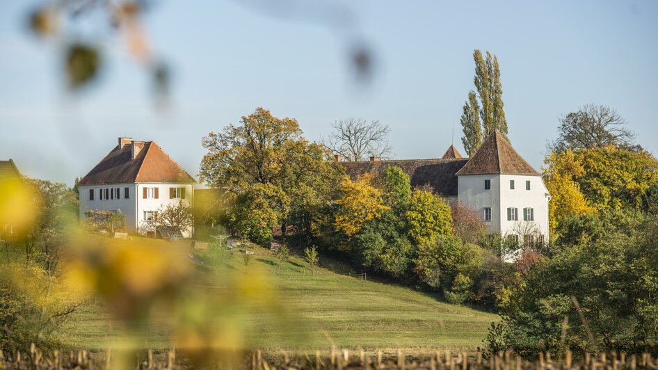 Schloss Welsdorf nahe Fürstenfeld