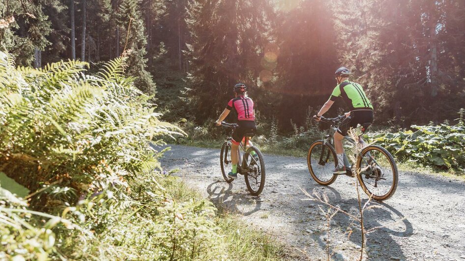 Mit dem Mountainbike zur Ebneralm | © Thomas Sattler