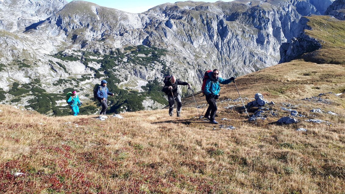 Wildes Wandern