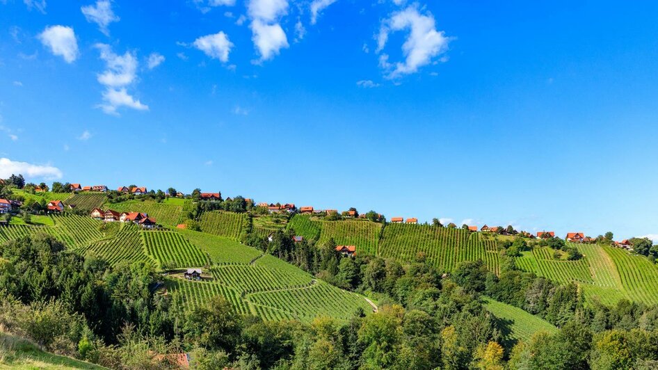 Hochgrail | © TV Schilcherland Steiermark, Foto Augenblick