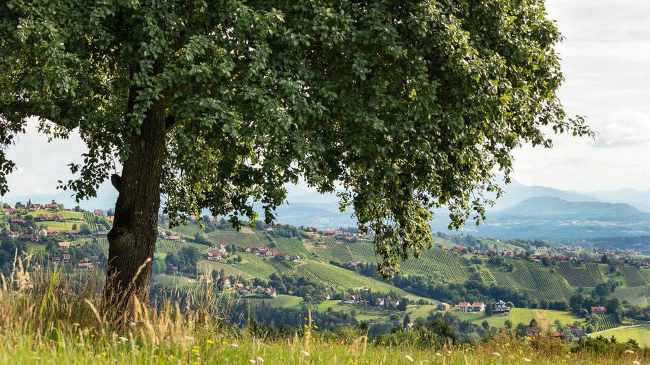 Hochgrail 9 Plätze, 9 Schätze | © ORF Schoettl (4)