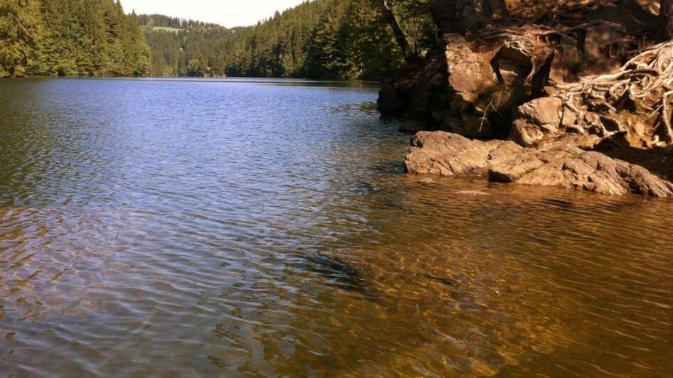 Hirzmann Stausee_Sommer | © TV Lipizzanerheimat | CH