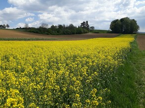 Wiese Hödls Hof | © Hödls Hof