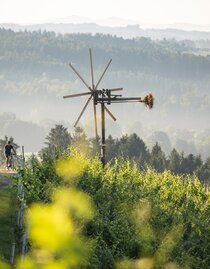 Klapotetz Hochgrail Weingärten | © Velontour - Schilcherland Steiermark