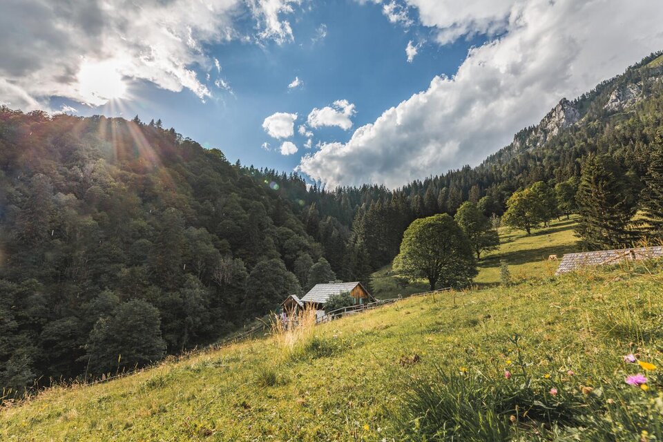 Kölblalm - Impression #1 | © Thomas Sattler