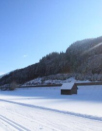Loipe Wald am Schoberpass | © TV Erzberg Leoben