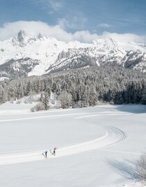 Langlaufzentrum Hall | © Stefan Leitner | © Stefan Leitner