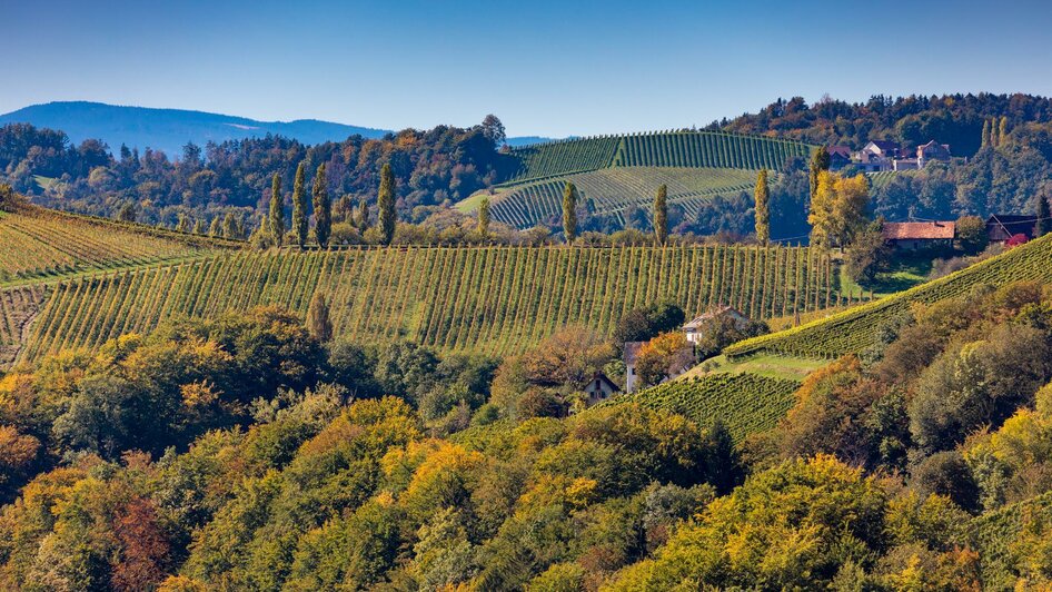 Herbst Gamlitz | © Harry Schiffer