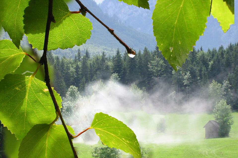 Orthofit GmbH - Impression #1 | © TVB Ausseerland - Salzkammergut_Eva Griese