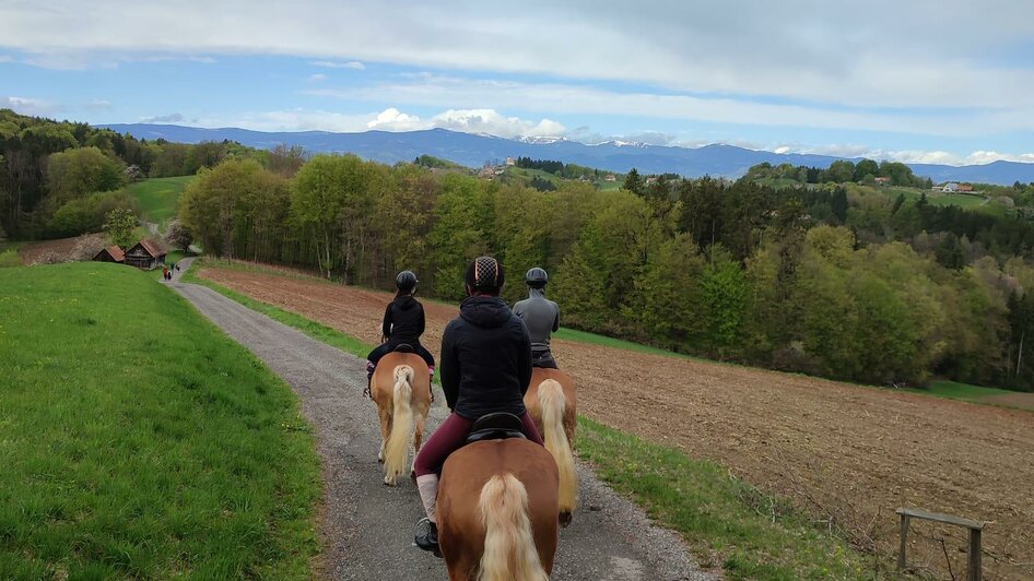 Reiten am Pferdehof Decker | © Pferdehof Decker