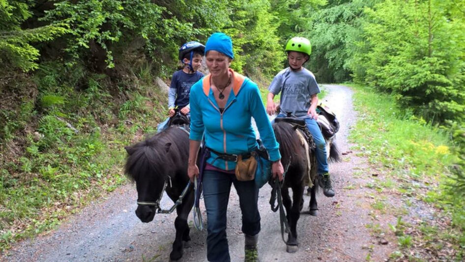 Ponys reiten duch Wald und Wiesen | © Ponytrekking