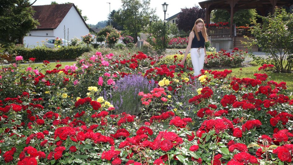 Rosarium in St. Stefan im Rosental | © Suppan-Film