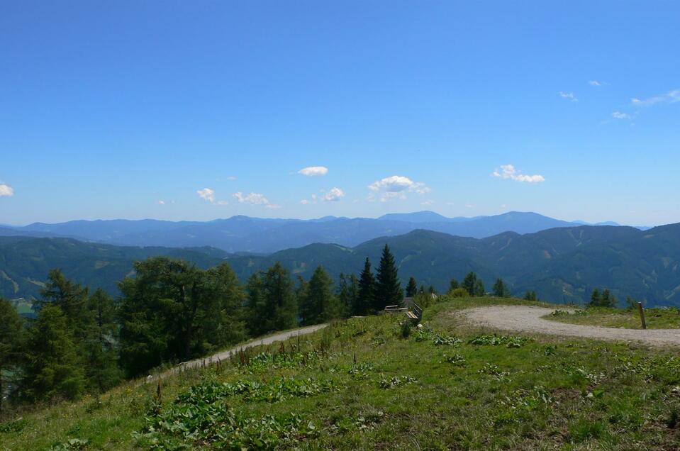 Schießlingalm Mautstraße - Impression #1