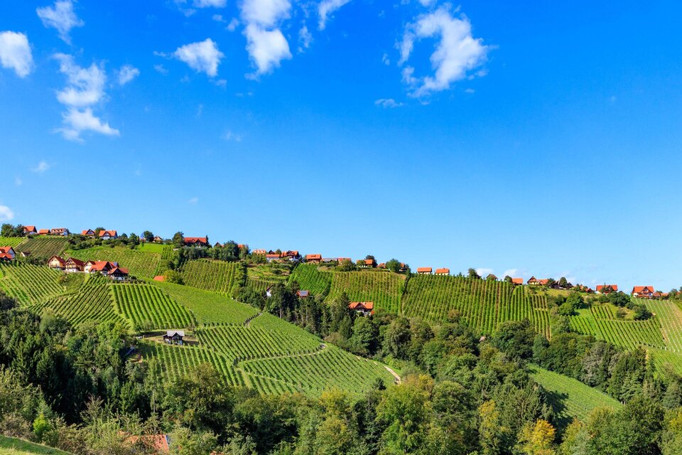 Schilcher Weinstraße - Impression #1 | © Schilcherland Steiermark