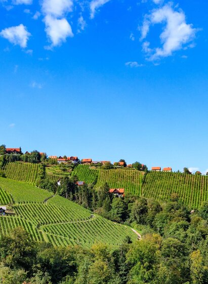 Hochgrail | © Schilcherland Steiermark